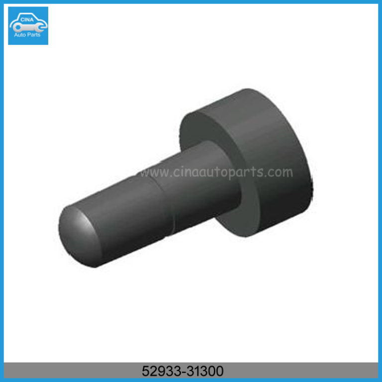 52933 31300气门嘴 768x768 - Jac J5 TR414 valve OEM 52933-31300