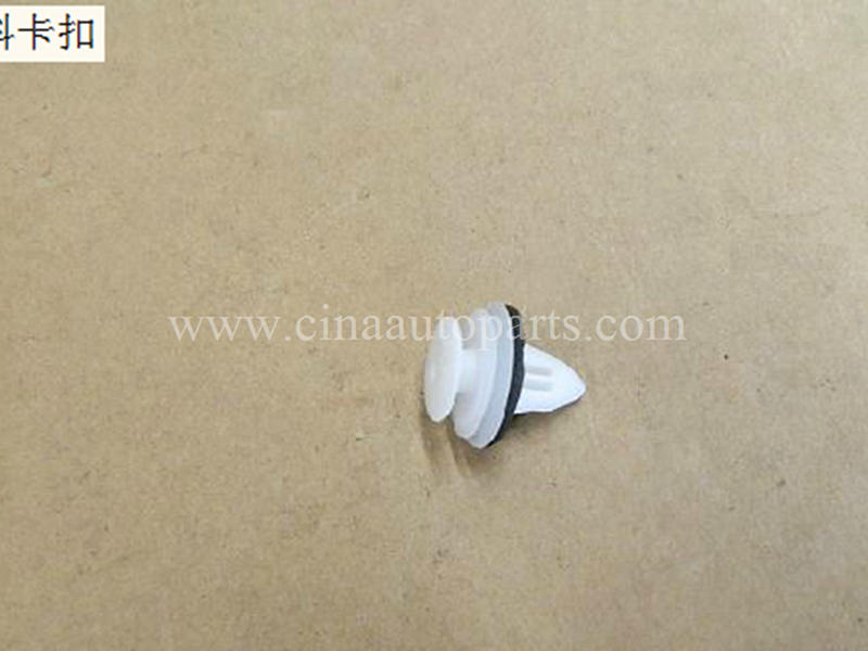 09630001 - great  wall Cowry Plastic nut 9630001