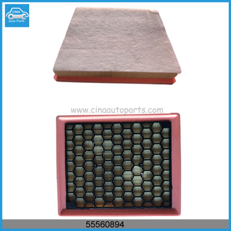 55560894 768x768 - Air Intake Filter For General Motors Buick OEM 55560894